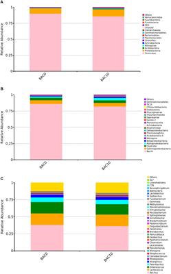 Isolation and Transcriptome Analysis of Phenol-Degrading Bacterium From Carbon–Sand Filters in a Full-Scale Drinking Water Treatment Plant